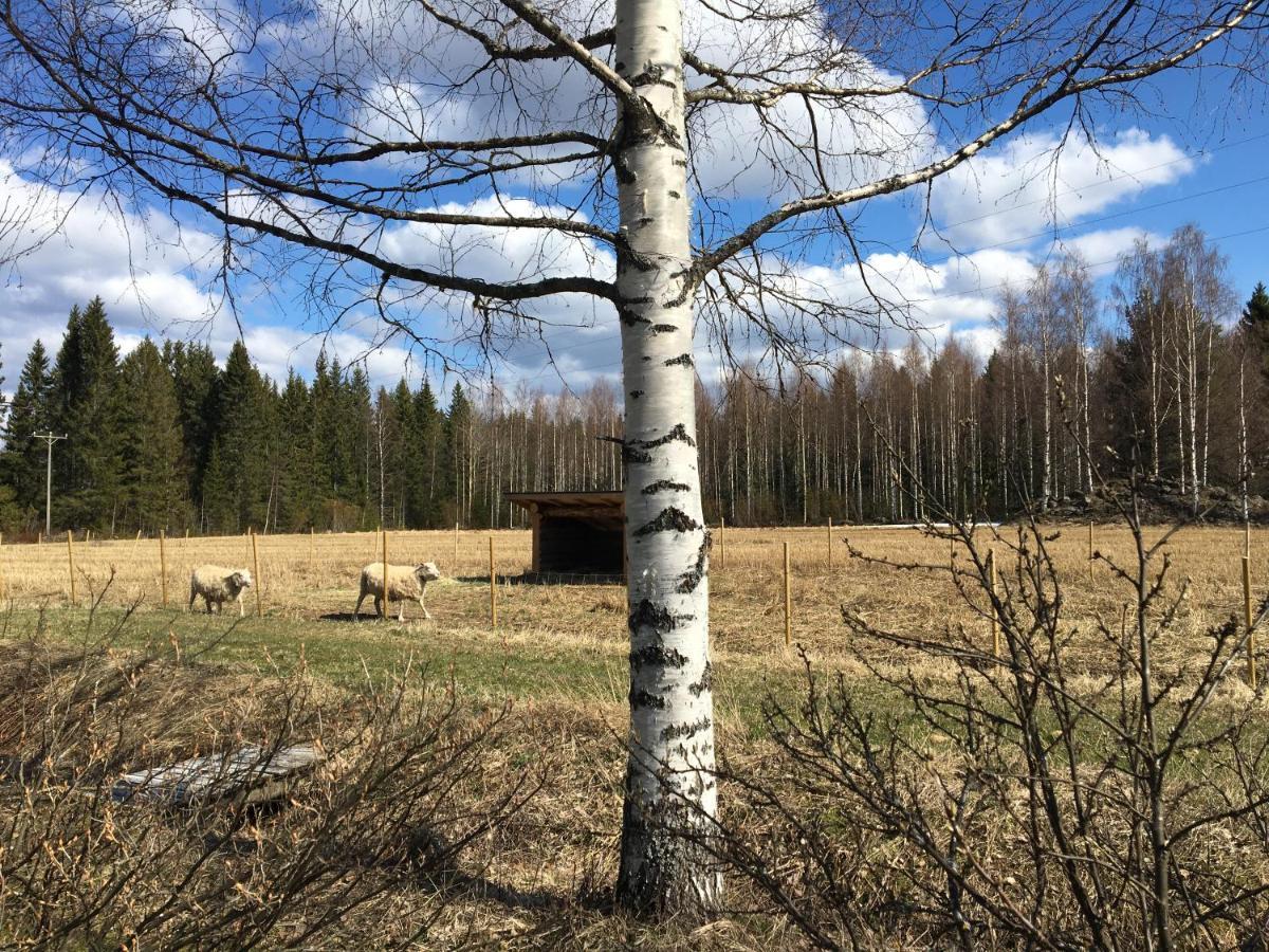 Kivirannan Tupa Villa Ylivieska Eksteriør billede